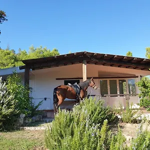 Badde Rosa Dorgali