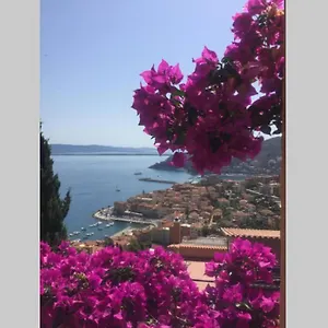  Appartamento Panoramico: Ulivi E Sole